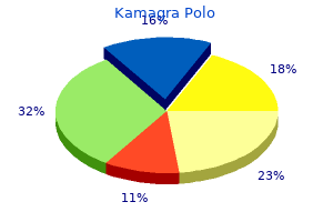 buy kamagra polo with paypal